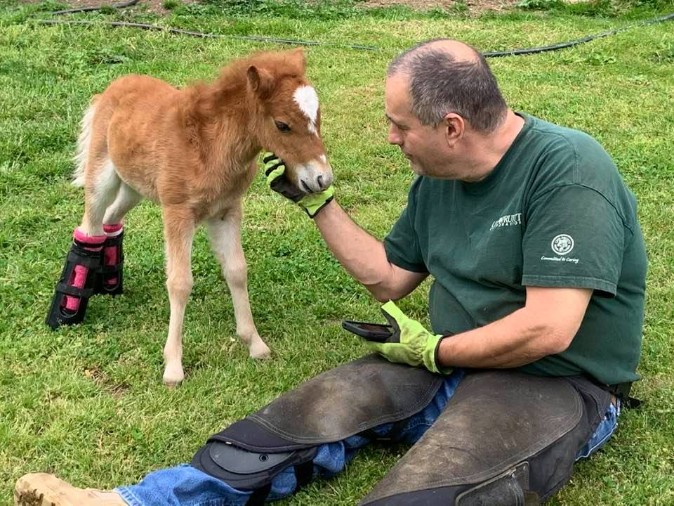 Raina meeting the farrier