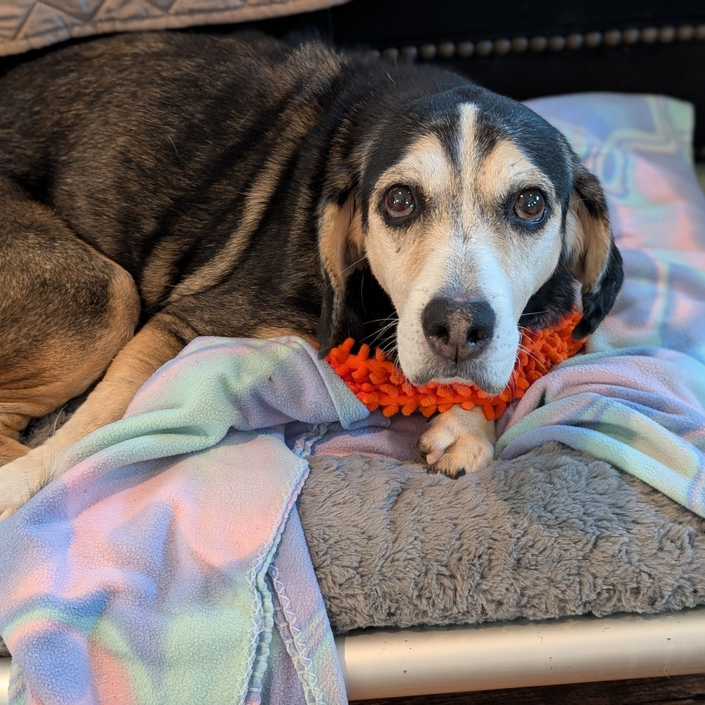 Senior Scenter resident